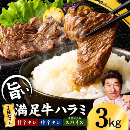 【満足牛ハラミ】3種セット （甘辛タレ漬け・中辛タレ漬け・オリジナルスパイス仕込み）  合計3kg 【味付け ハラミ 小分け 焼くだけ 簡単調理 BBQ 牛肉 250g×12P】 G3403