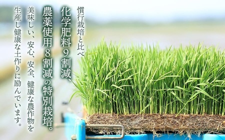 【令和7年産】【定期便3ヶ月】特別栽培米 つや姫 【白米】 5kg×3ヶ月　山形県鶴岡市産　出羽弥兵衛