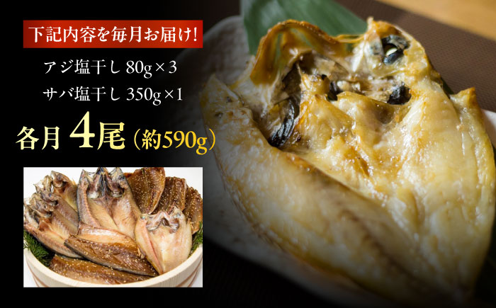 【3回定期便】【S】一夜干し 塩干し（アジ/サバ）計4尾 五島市/愛情食彩 [PCH010]