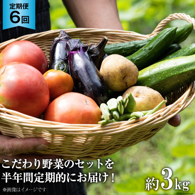 【ふるさと納税】No.137 OGAWA'N 野菜 セット の 定期便 6ヶ月 連続 ＜ JA埼玉中央 ＞【 埼玉県 小川町 】 野菜セット やさい 季節野菜 詰め合わせ 旬 農産物