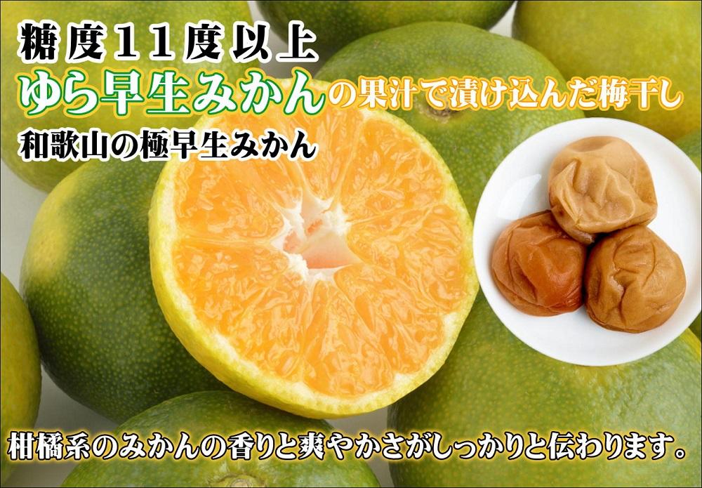 みかんこい梅 A-078