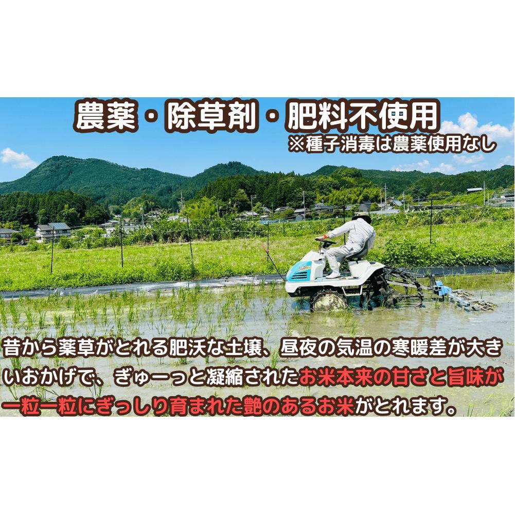 先行予約販売★自然栽培米★新米【令和6年産】玄米 奥大和高原米5kg ９月末より順次発送,自然栽培米,新米,令和6年産,玄米,奥大和高原米,農家やまおか,無農薬,国産,お米,奈良県,宇陀市無農薬_イメ