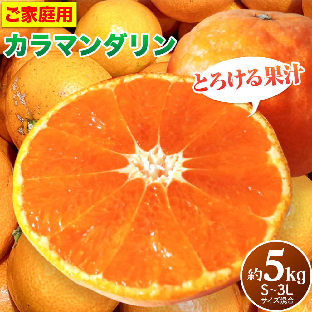 【ふるさと納税】春みかん 和歌山 有田産 カラマンダリン 約5kg (S〜3Lサイズ混合) ご家庭用 厳選館《 4月上旬-5月中旬頃出荷 》和歌山県 日高町 送料無料 柑橘 みかん 蜜柑 訳あり