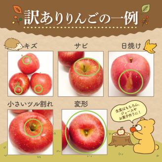 【2026年2月上旬発送】【訳あり】 りんご 15kg 詰め合わせ 計2種(サンふじ と 他1種) 不揃い フルーツ 家庭用