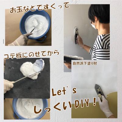 ふるさと納税 南国市 自然派ねりしっくいSELF-re(セルフル)　専用下塗り材　18kg |  | 02