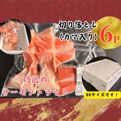 ふるさと納税 銚子市 サーモントラウト　切り落とし(カマ入り)　4切入×6パック