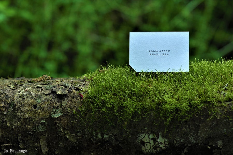 【KALCANO】ピアス ジュエリー jewelry アクセサリー レディース 熊本 阿蘇小国杉 小国杉 工芸品 木製 樹脂パーツ 淡水パール ニッケルフリー素材使用 金属アレルギー対応 ハンドメイド