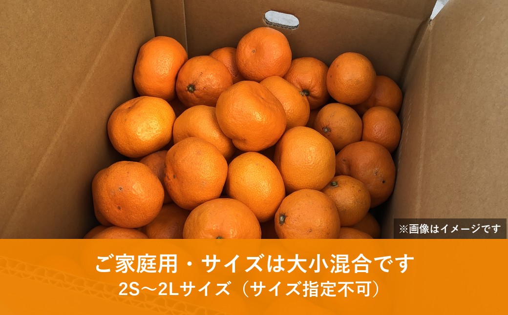 【先行受付】八幡浜産 温州みかん（5kg）家庭用【108-1】YWTBX001
