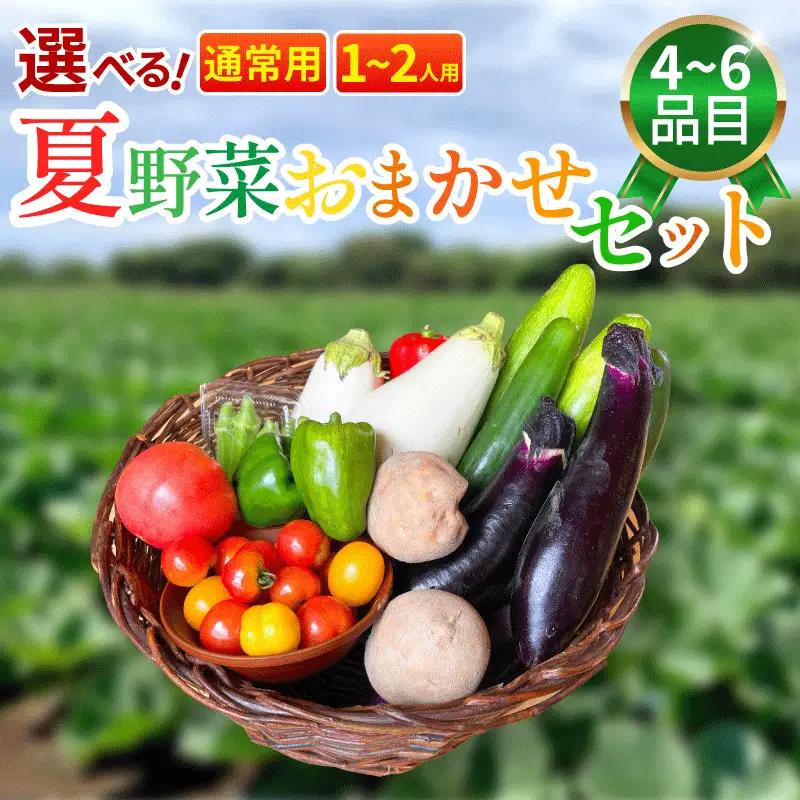 野菜 夏野菜 セット 4～6品目 1人～2人用 野菜 夏野菜 野菜 夏野菜