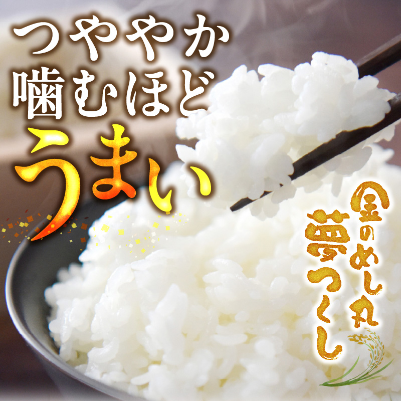 金のめし丸夢つくし　36194　3kg（1袋）　令和7年産 _ 3kg × 1袋 国産 米 福岡県産米 白米 精米 お米 夢つくし オリジナル米 金のめし丸 おいしい ツヤツヤ もちもち ほのかな甘み