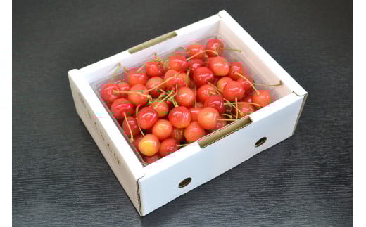 08-10-025　さくらんぼ(品種おまかせ)　2L　500g