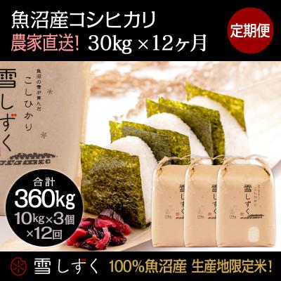 ふるさと納税 十日町市 【毎月定期便】中里地域限定!魚沼産コシヒカリ30kg(10kg×3袋)×12回 計360kg全12回