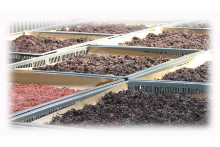 熊野乃梅　うす塩 （塩分9％）500ｇ×3Pとしそふりかけ