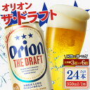 【ふるさと納税】【3ヶ月定期便】〈オリオンビール社より発送〉ザ・ドラフト(350ml×24本)(AB001)