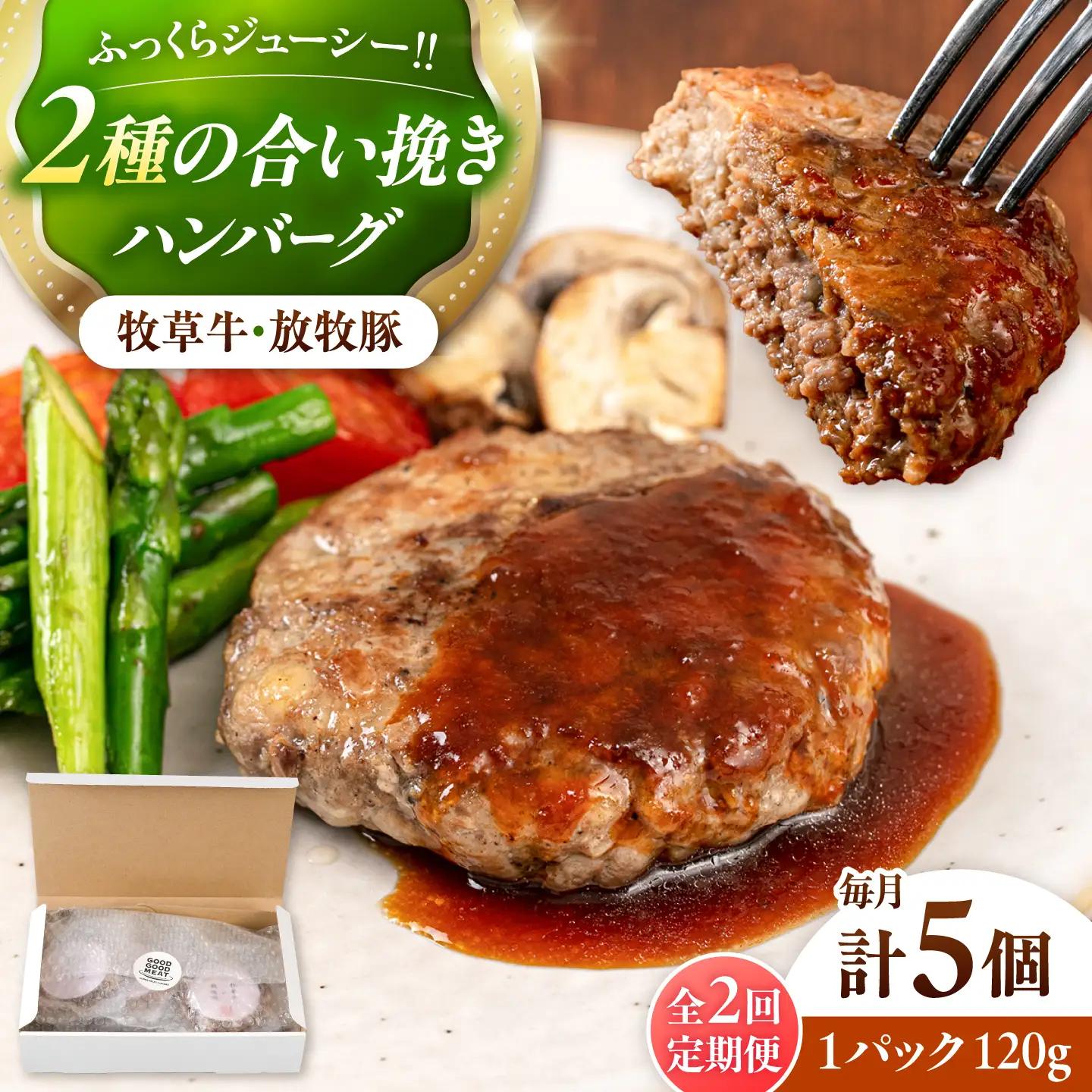 【全2回定期便】　【牧草牛×放牧豚】ハンバーグ 5個 牛肉 豚肉 小分け 冷凍 北海道 [AXBP026]