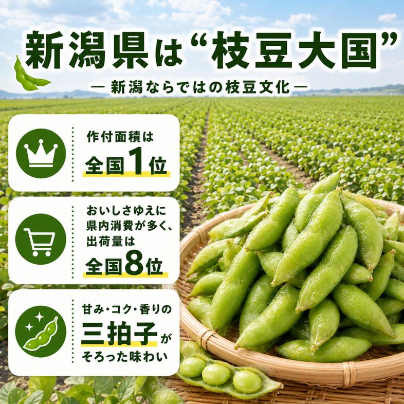 くろさきの枝豆 1kg【9月末～10月配送】 新潟県黒埼産 朝ど