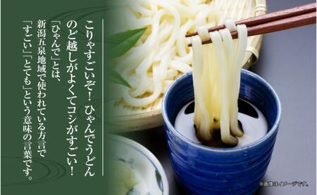 うどん ひゃんで 600g×8袋 約48人前 乾麺 うどん