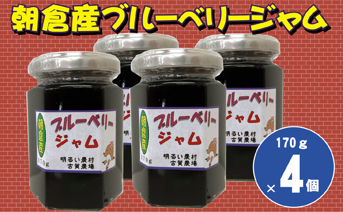 ブルーベリージャム 170g×4個 ヨーグルト 美味しい お通じ 