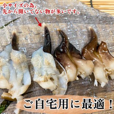 ふるさと納税 南知多町 純国産【訳あり】 トリ貝 刺身 5パックセット 貝専門店 岬だより |  | 02