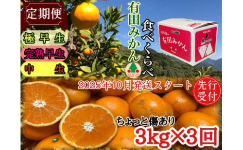 定期便 先行受付2025年 10月発送スタート ちょっと 傷あり 3kg × 3回 コース 有田みかん 食べくらべ 3種 南泰園