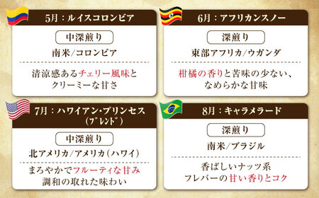 【全12回定期便】コーヒー 珈琲 島の焙煎所おすすめ『能美島ビターブレンドセット』コーヒー豆 全13種 コーヒー 珈琲 自家焙煎 ドリップ ブレンド 広島県産 江田島市/Coffee Roast Se