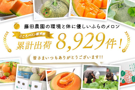 【2026年発送】ふらのメロンよくばりセット（赤肉・青肉）　2玉【AO-008】