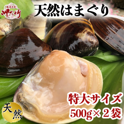 
岬だよりの 希少 天然はまぐり 特大サイズ 500g×2袋
