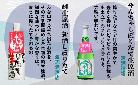 【12～2月限定】新酒 日本酒 飲み比べ 山菜 惣菜 セット ギフト 贈答 贈り物 熨斗対応 佃煮[Q854]
