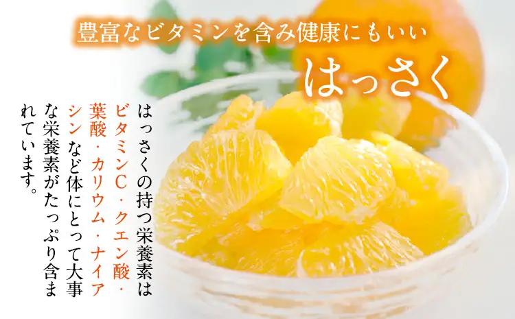 訳あり はっさく八朔 約9kg