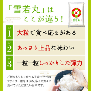 令和7年産 山形県産 雪若丸 10kg ( 5kg × 2袋 ) 精米 白米 2025年産 産地直送 山形県 米沢市