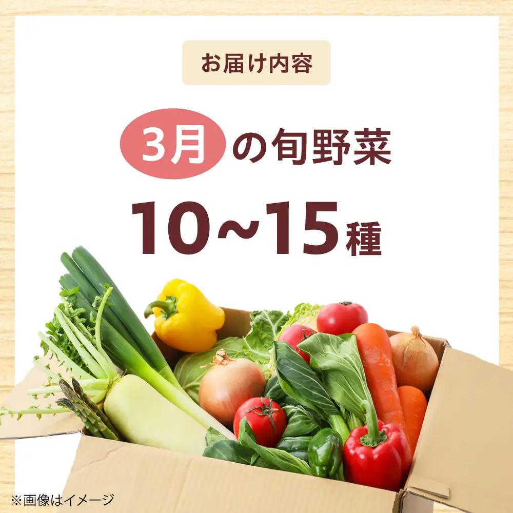 高槻野菜おまかせ詰め合わせセット 3月（10種〜15種）[AOCS009] 野菜セット