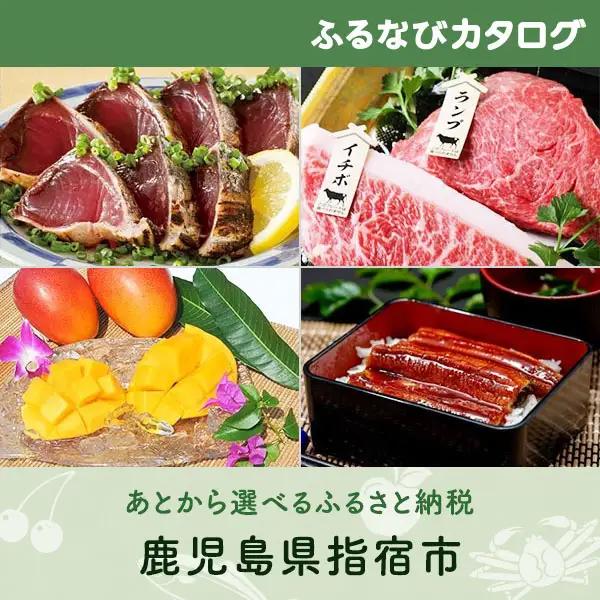 【有効期限なし！後からゆっくり特産品を選べる】鹿児島県指宿市カタログポイント