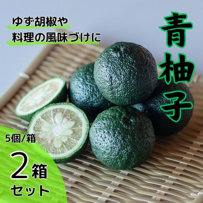 青柚子(5個入×2箱セット)　《8月上旬-8月末頃発送》【配送不可地域あり】※離島 ---sanagouchi_lcl_18_2hk---