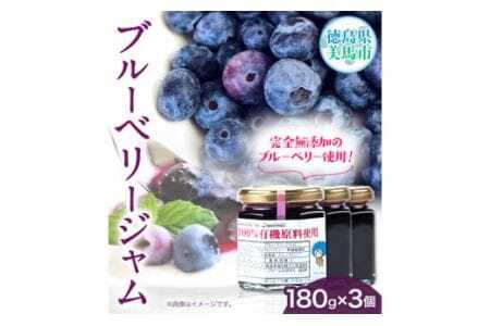 手作り ブルーベリージャム（180g×3個）ジャム