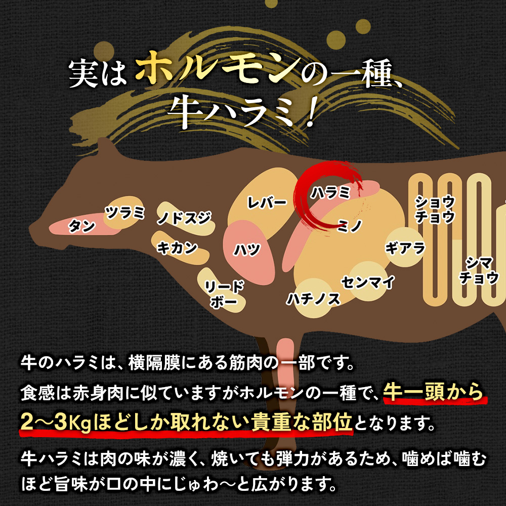 【発送月が選べる】国産 特製たれ漬 牛ハラミ サガリ 500ｇ JX003-2