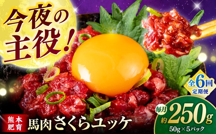 
            【全6回定期便】馬肉さくらユッケ 250g ( 50g × 5 ） 【合同会社　長岡フーズ】 [ZFR019]
          