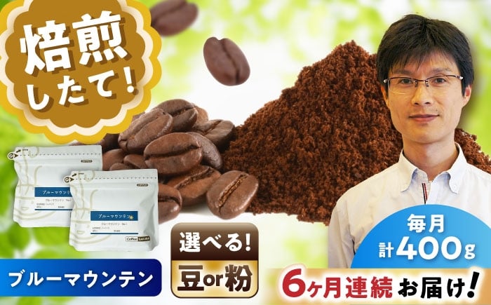 
            【全6回定期便】【選べる豆 or 粉】ブルーマウンテンNo.1　200g×2個 / 珈琲 コーヒー / 瀬戸市 / Ｃｏｆｆｅｅ　ＳＡＫＵＲＡ [BBAB088]
          
