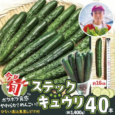 ふるさと納税 大館市 ステックキュウリ ポクポク柔らか!めんこい!約40本