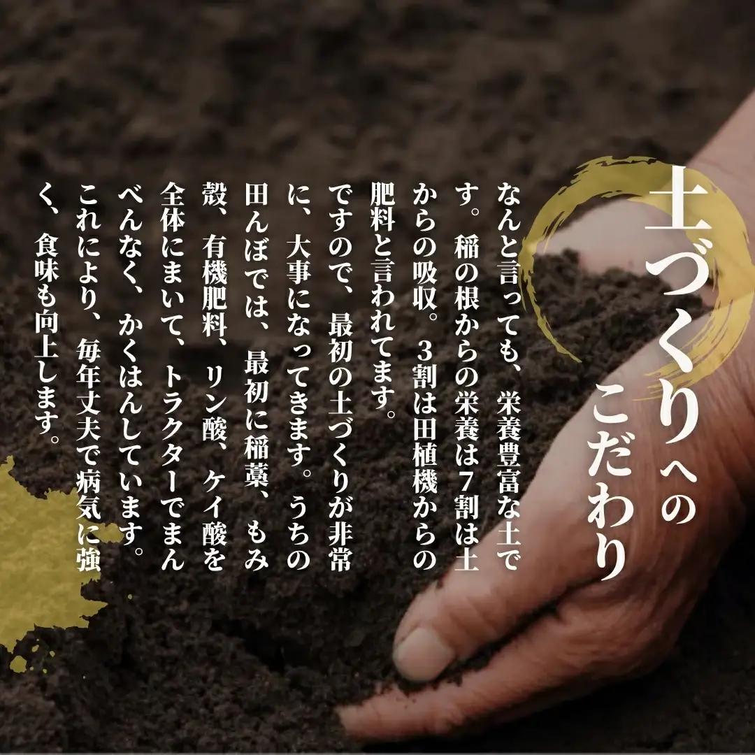 【定期便6回】令和8年産 新米 ゆきん子舞 10kg(5kg×2袋)×6回 計60kg 先行予約 | 新潟県産 米 白米 五泉市