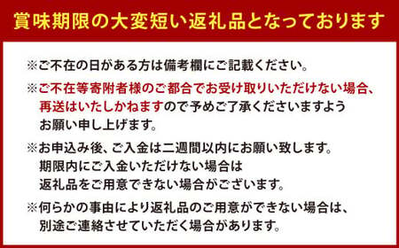 【栽培期間中農薬不使用】天姫（あまひめ）イチゴ 200g×4パック 合計800g【2025年2月上旬～3月下旬発送予定】いちご 苺 フルーツ 果物 くだもの 福岡県 北九州市