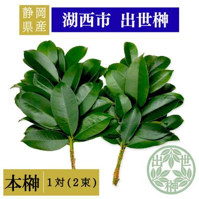ふるさと納税 湖西市 静岡県産湖西市　出世榊　本榊　純国産　さかき1対(2束)※1日交換に間に合うように配送