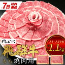 【ふるさと納税】【7営業日以内に発送】 飛騨牛 もも 焼肉用 1.1kg 550g×2 A5 A4 国産 牛 冷凍 和牛 牛肉 もも肉 モモ 焼き肉 やきにく 赤身 ギフト 贈答 おすすめ BBQ バーベキュー キャンプ にく お肉 肉 東白川村 岐阜 飛騨 贅沢 霜降り 肉のひぐち 30000円 三万円