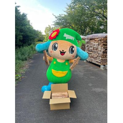ふるさと納税 阿賀野市 スギ薪 12kg 40cm×14本 遊園地で製造した薪 サントピアワールド |  | 02