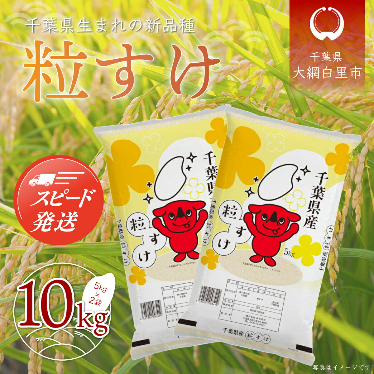 【ふるさと納税】【最短2～7営業日出荷】令和7年産 千葉県産「粒すけ」選べる 5kg〜25kg（5kg×1袋〜5袋）お米 千葉県産 大網白里市 粒すけ 米 精米 こめ 白米 ご飯 千葉県産米 5kg10kg 15kg 20kg 25kg 10キロ 15キロ 20キロ 25キロ