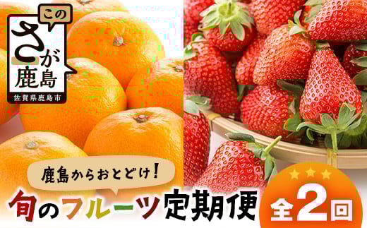 
            【定期便 2回】鹿島からお届けフルーツ定期便 佐賀県産みかん2kg・佐賀県産いちご240g×2パック｜ ふるさと納税 フルーツ 果物 定期便 定期 みかん いちご くだもの バラエティ セット 佐賀県 鹿島市 送料無料 人気　B-668teiki
          