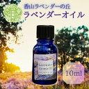 【ふるさと納税】ラベンダー精油10ml ラベンダーオイル エッセンシャルオイル フローラル系 アロマ A051‐03