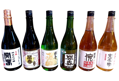 若林酒造「開春」日本酒 生もと6種飲み比べセット（720ml×6本）【日本酒 6本 720ml 純米酒 開春 生もと きもと 生もと純米 生もと純米大吟醸 西田 寛文の雫 イ宛 生酛山口 大吟醸 最高
