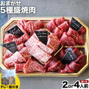 【ふるさと納税】選べる おまかせ5種盛焼肉セット500g or 800gマンノ精肉店《30日以内に出荷予定(土日祝除く)》大阪府 羽曳野市 送料無料 牛肉 セット ギフト 贈答用 焼肉 焼き肉 BBQ プレゼント 食べ比べ