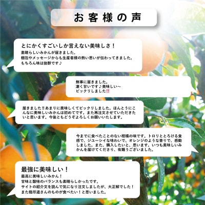 【愛媛名産】極早生みかん【雫・・小玉】 10kg【F64−24】【1510680】