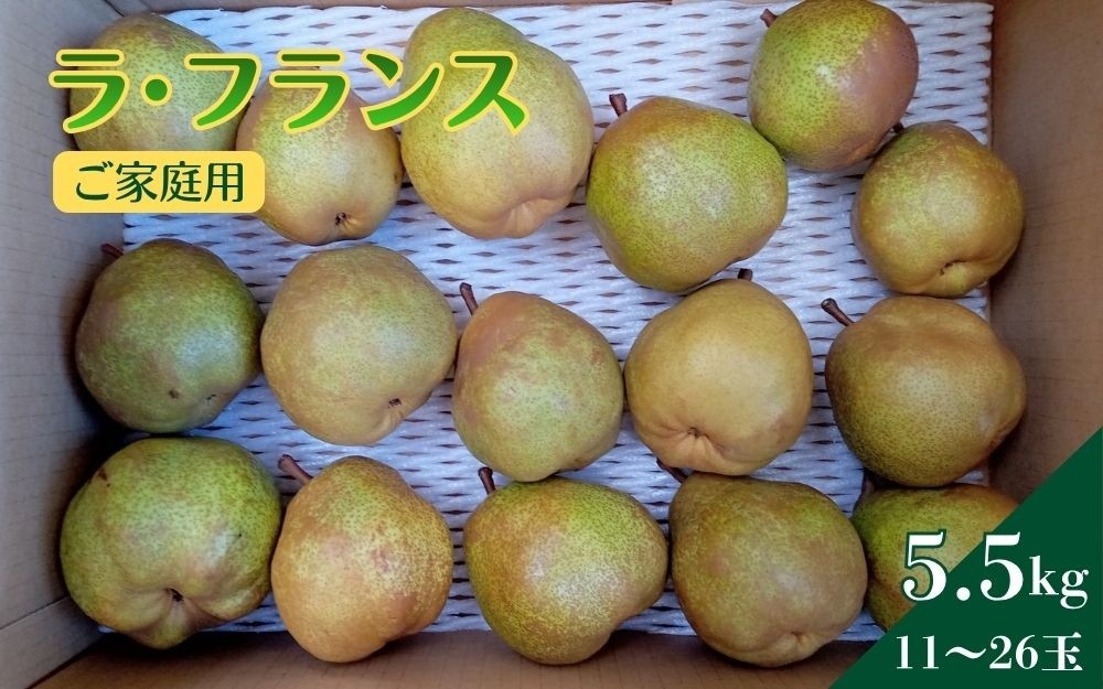 
                  西洋梨（ラフランス）５.５ｋｇ　ご家庭用　0142-2613
                